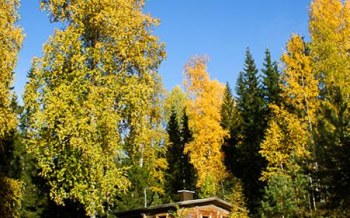 pic-32.jpg