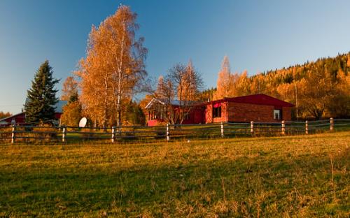 pic-4.jpg